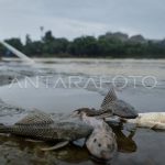 Sumber: ANTARA FOTO/Putra M. Akbar/foc.